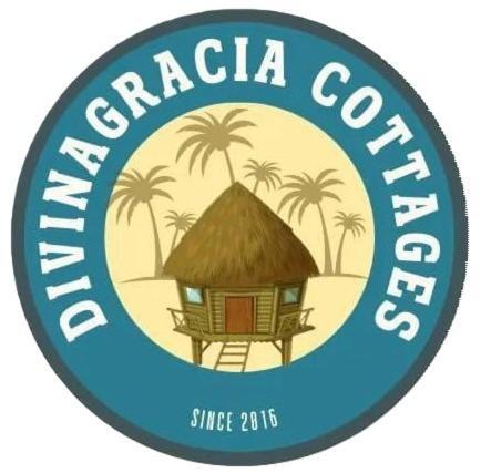 Divinagracia Cottages سان فيسنتي المظهر الخارجي الصورة