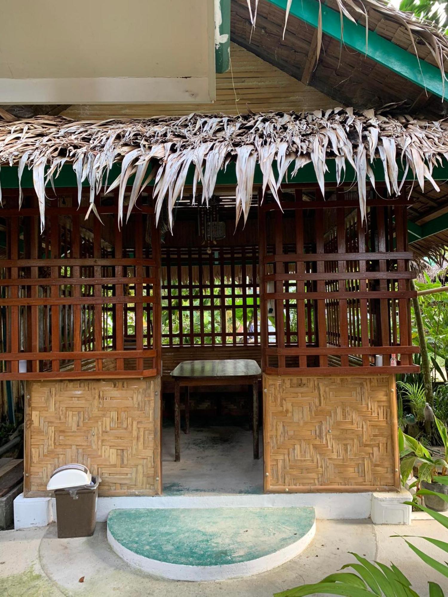 Divinagracia Cottages سان فيسنتي المظهر الخارجي الصورة